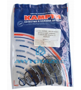 Ремкомплект клапана двойной защиты КАМАЗ "КАМРТИ"  (5 позиций)