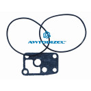 Ремкомплект фильтра центробежной очистки масла (ФЦОМ) (РТИ+паранит) КАМАЗ