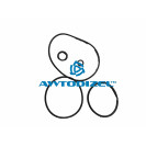 Ремкомплект на установку 1-цилиндрового компрессора ЕВРО КАМАЗ (5 поз)