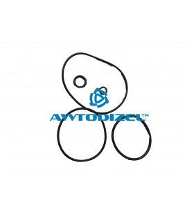 Ремкомплект на установку 1-цилиндрового компрессора ЕВРО КАМАЗ (5 поз)