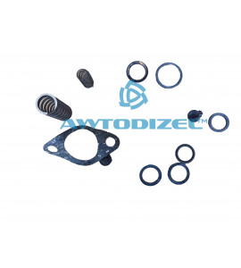 Ремкомплект топливного насоса низкого давления (ТННД) КАМАЗ (8 позиций; РТИ +пружины +шайбы)