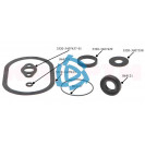 Ремкомплект насоса ГУР (гидроусилитель руля) (7 позиций + 413, 358 прокладки + 864121 сальник) "КАМРТИ"