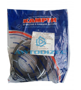 Ремкомплект ГУР (Гидроусилитель руля) ЕВРО-КАМАЗ КАМРТИ +фторопласт (11 позиций)