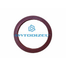 Сальник 58*72*5,75  вала сошки ГУР КАМАЗ  красный РТ