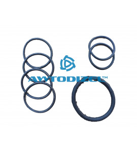 Ремкомплект колец системы охлаждения КАМАЗ Балаково, (3 позиции )