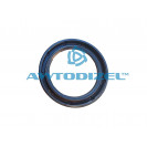 Сальник1,2-60*82-10 подкачки УРАЛ РТД "Чайковский завод"