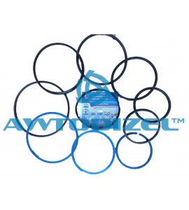 Ремкомплект гидроцилиндра МАЗ-5551 (РТИ, с пластмассой)