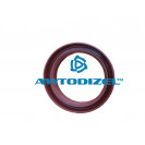 Сальник 2,2-75*100*12 редуктора заднего моста РТ NBR красный