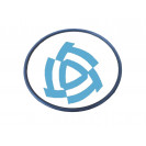 Кольцо уплотнительное цапфы МАЗ БРТ