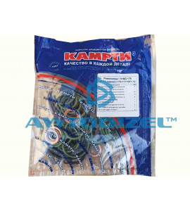 Ремкомлект ТНВД 175 (РТИ, паронит) КАМРТИ ( 10 позиц )