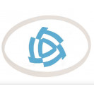 Кольцо на цапфу (фторопласт) МАЗ