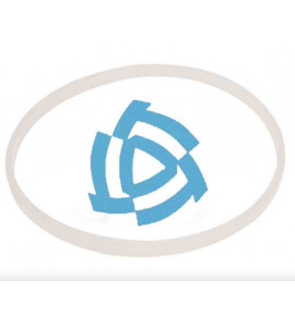 Кольцо на цапфу (фторопласт) МАЗ