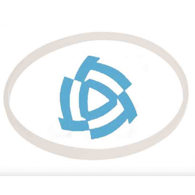 Кольцо на цапфу (фторопласт) МАЗ