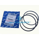 Поршневые кольца ЯМЗ-7511 (на один поршень) "АВТОДИЗЕЛЬ"