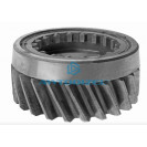 Шестерня 5-й передачи КПП ЯМЗ-236 вторичного вала АВТОДИЗЕЛЬ  Z-23 зуб. С/О