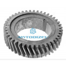 Шестерня коленчатого вала ЯМЗ-236НЕ, БЕ, 7511 АВТОДИЗЕЛЬ Н/О