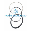 Гильза с поршнем (ГПК) ЯМЗ-7511, 7601 АВТОДИЗЕЛЬ (гильза, поршень, упл/к, поршн./кольца) (индивидуальная ГБЦ) 7511-1004005-01