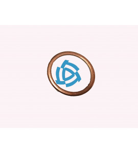 Шайба медная уплотнительная Ø-22х27х1 (плоская) ЦИТ на форсунку