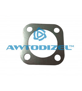 Пластина вала привода ТНВД ЕВРО передняя