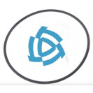 Кольцо уплотнительное межу суппорта и цапфы 135-145-46-2-2 ОАО"БЕЛАРУСЬРЕЗИНОТЕХНИКА"