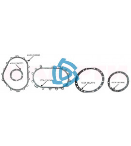 Ремкомплект паронитовых прокладок промежуточного моста КАМАЗ-6520 ЕВРО-2 (5 позиций) " КАМРТИ "