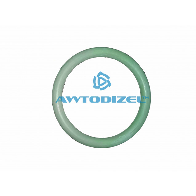 Кольцо уплотнительное водяной трубки ЕВРО КАМАЗ ФСИ-65, Строймаш