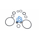 Ремкомплект насоса опрокидывающего механизма кабины МАЗ РТИ (№21),182.5004010-11, ШНКФ 458662.240,250.