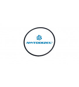 Кольцо КАМАЗ уплотнительное блока цилиндра БРТ 740.1002523