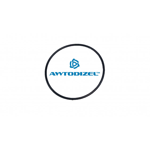 Кольцо КАМАЗ уплотнительное блока цилиндра БРТ 740.1002523