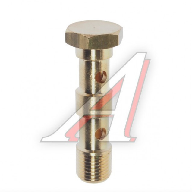 Болт-штуцер пустотельный ЯМЗ подводящей топливной трубки ТНВД, АВТОДИЗЕЛЬ 1631 02-М10Х1-S CAMOZZI