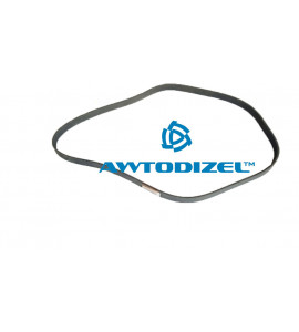 Ремень 6РК 1460  DAYCO