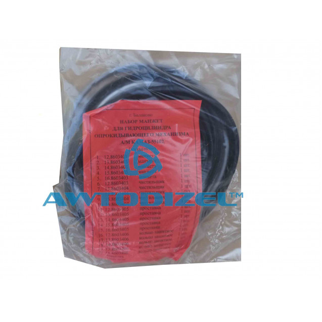 Ремкомплект (набор) гидроцилиндра опрокидывающего механизма КАМАЗ 55102 (20п) (на колхозник)