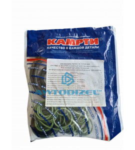 Ремкомплектк ТНВД (РТИ, полный +сальники, 14 поз. из ФСИ и ГНИ-75, Строймаш) "КАМРТИ"