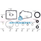 Ремкомплект ТНВД (топливного насоса высокого давления) КАМАЗ (РТИ+сальники+клапан+пружина клапана, 20 позиций) "КАМРТИ"