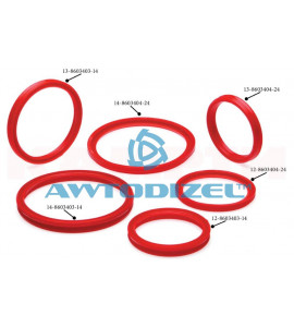 Ремкомплект гидроподъёмника КАМАЗ-65115 (полиуретан) (6 позиции) "КАМРТИ"