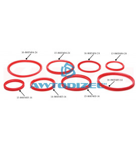 Ремкомплект гидроподъемника КАМАЗ-6520 ( полиуретан ) ( 8 позиции ) "КАМРТИ"